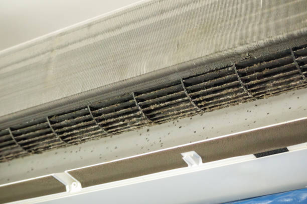 Best Local Air Duct Cleaning Services  in Salmon Brook, CT